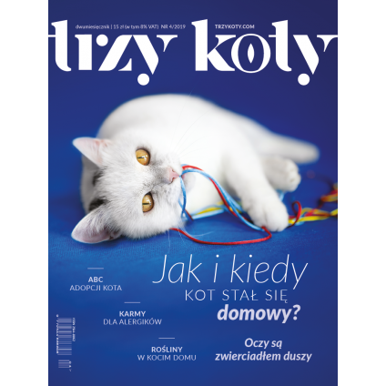 Magazyn Trzy Koty - 4/2019