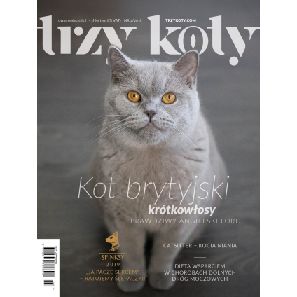 Magazyn Trzy Koty - 2/2019