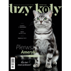 Magazyn Trzy Koty - 5/2019