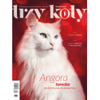 Magazyn Trzy Koty - 6/2019