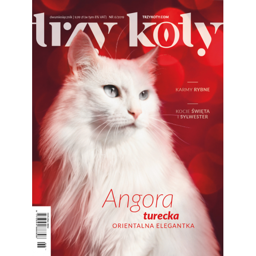 Magazyn Trzy Koty - 6/2019